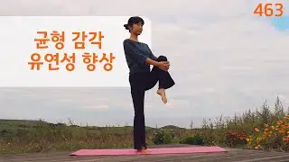균형감각과 유연성 향상 / 요가은463 전신 요가 풀시퀀스