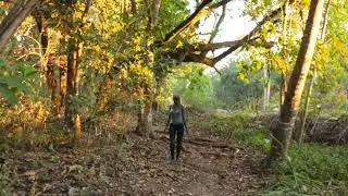 girl in the forest shorts