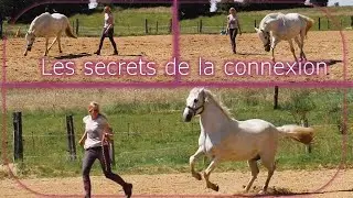 Les Secrets de la Connexion ... et un peu de poésie