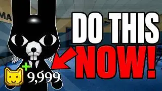 The *NEW* FASTEST Way To Get Animal Coins In Animal Hospital!