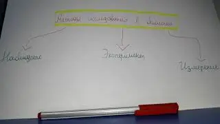 Биология|Методы исследования в биологии