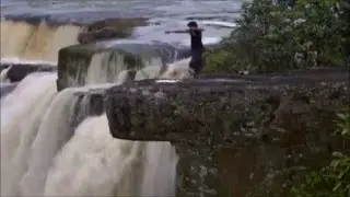 Werner Herzog's The White Diamond (birds' scenes)