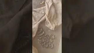 snake 🐍  poison  dangerous  handling training #viral