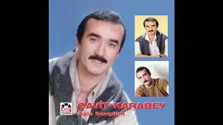 Bak Yine Yollara Ağla Sevgilim - Cavit Karabey