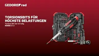 Maximale Flexibilität für jede Schraubaufgabe | Torsionsbit-Satz, 43-teilig R33003043