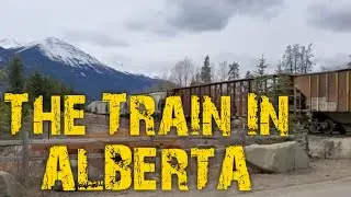 The Train
