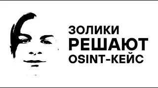 Я заставил Золиков вести OSINT-расследование