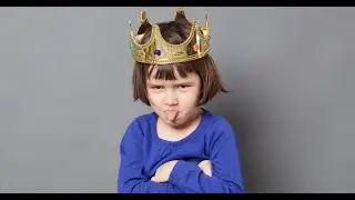 Qual a melhor recompensa alimentar?
