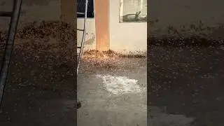 Agni ki Baris 