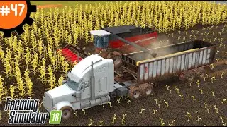 Конечная цель: История о покупке последнего поля в Farming Simulator 18 | Fs 18. #47