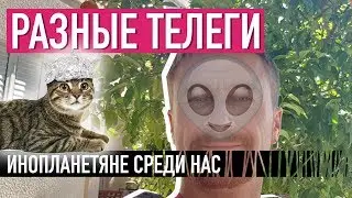 Инопланетяне среди нас — РАЗНЫЕ ТЕЛЕГИ