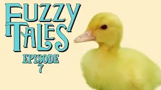 Fuzzy Tales | Ep 7 | Hilla Willa | Loupunzel