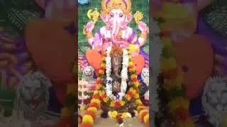 Jai Jai Ganesh Ganapati Bappa Morya
