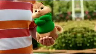 Бурундучок Теодор (короткое видео)Chipmunk Theodore (short video)