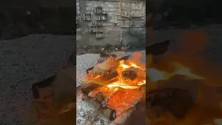 Խորոված գառի մսով