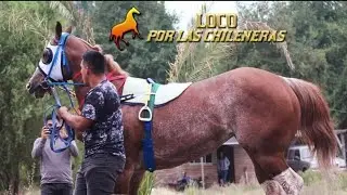 La Atila - Sebastián Almendras 