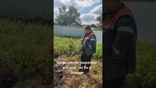когда мечтал оказаться в Египте