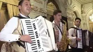 Formatia PAUL STANGA Cel Mai Frumos Program Live 100% Suita , purpuriu, show