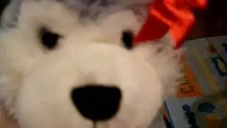 tinychat!