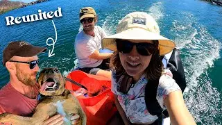 Preparing for a Sailing Expedition: Chuffed Adventures S6Ep15 (and dog reunited with owner)