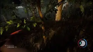 The Tea Bag Dance of Peace in The Forest