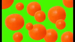 Oranges fruits falling green screen Background free videos