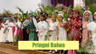 PRINGNI BALWA BALSIRIRI