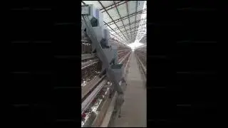 HIGHTOP Automatic feeding machine