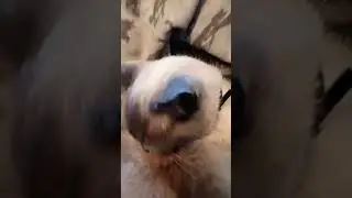 #art Кузьма