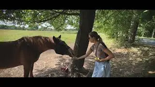 Снимала на телефон) Lithuania (Palanga, Klaipeda)