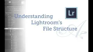 Understanding Lightroom's File Structure