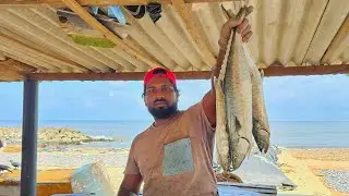 Perfect Seer Fish Slicing Skill By Expert Fish Cutter | Fastest King Fish Slicing Skill