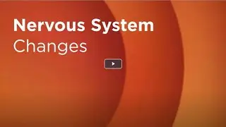 Nervous System Changes During Cancer Treatment