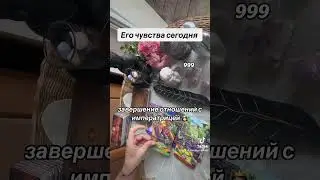 ЕГО ЧУВСТВА СЕГОДНЯ 😻🌹💣|Таро