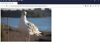 Inserting Images in a Web Page