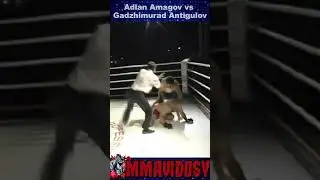 Knockout ProFC 9 - Adlan Amagov vs Gadzhimurad Antigulov #mma #ProFC #knocked