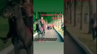 Ансамбль ЕХАЛИ ЦЫГАНЕ