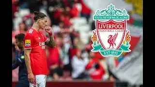 𝘿𝙖𝙧𝙬𝙞𝙣 𝙉𝙪𝙣𝙚𝙯 𝟐𝟎𝟐𝟐 𝙎𝙠𝙞𝙡𝙡𝙨, 𝙂𝙤𝙖𝙡𝙨, 𝘼𝙨𝙨𝙞𝙨𝙩 🔴 𝙬𝙚𝙡𝙘𝙤𝙢𝙚 𝙩𝙤 𝙇𝙞𝙫𝙚𝙧𝙥𝙤𝙤𝙡 🔴