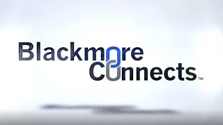 BlackmoreConnects™   Why Private Equity Firms Utilize the BlackmoreConnects™ Platform?
