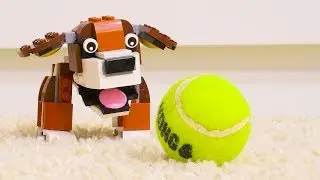 Lego in Real Life - Puppy meets Reality -  Stop Motion