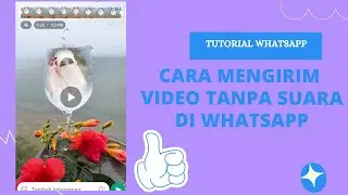 Cara kirim video tanpa suara di WhatsApp || Mengirim video tanpa suara