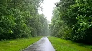 Rain on the walking path