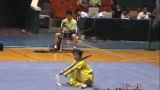 2007 河南 郑州   男子 刀术 Zhao Qing Jian 9.84