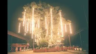 VTR งาน54ปีศรีไทรน้อย (สามารถรับชมภาพในระดับ 4 K)