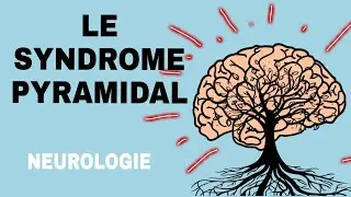 NEUROLOGIE : SYNDROME PYRAMIDAL 🌟
