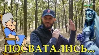 Анекдот про сватовство №102 Анекдоты от Новицкого - Как сватать невесту