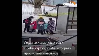 Дети грели щенка своим теплом, чтобы не дать ему погибнуть
