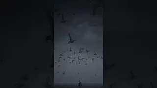 birds flock in ue4 niagara 