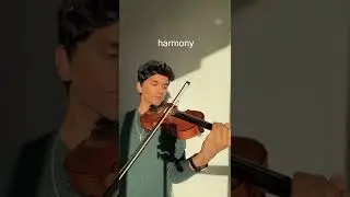 softcore (the neighbourhood) - violin solo 