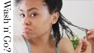 Wash n Go On Damaged Hair! | Zig Beswick